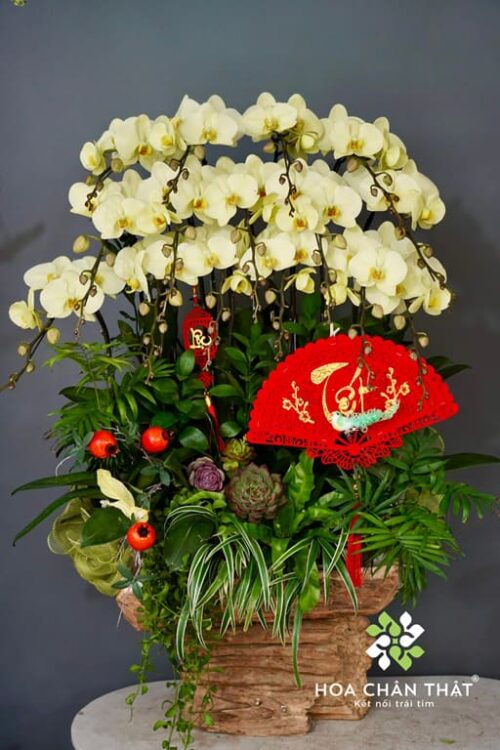 Máng Lan Hồ Điệp Ghép Lũa 15 Cành Xanh Bơ – Thanh Mát Tài Lộc