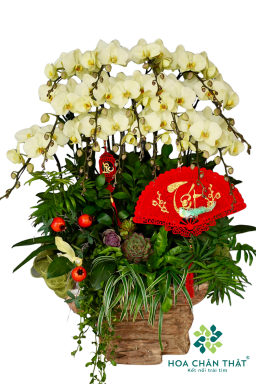 Máng Lan Hồ Điệp Ghép Lũa 15 Cành Xanh Bơ – Thanh Mát Tài Lộc