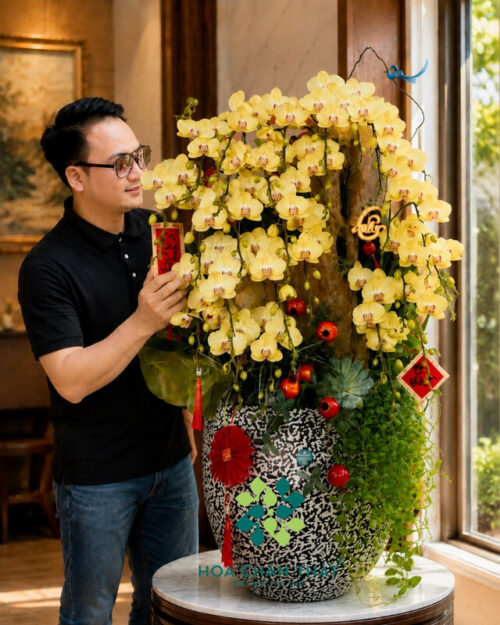 Chậu Lan Hồ Điệp 26 Cành Vàng Ghép Lũa – Kim Phú Quý Sang Trọng