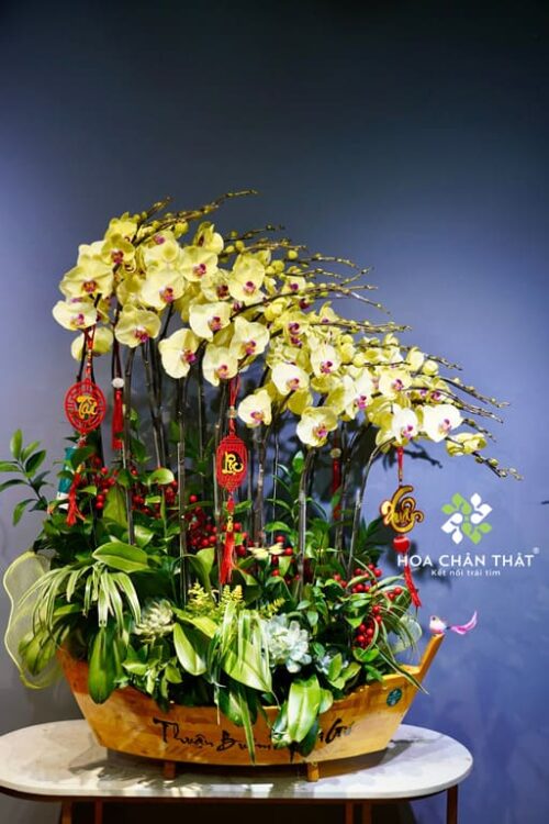 Thuyền Lan Hồ Điệp 25 Cành Vàng – Hoàng Kim Thịnh Phát