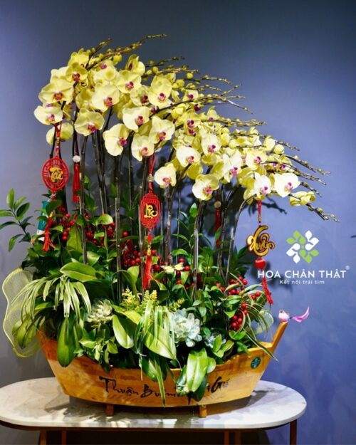 Thuyền Lan Hồ Điệp 25 Cành Màu Vàng – Hoàng Kim Thịnh Phát