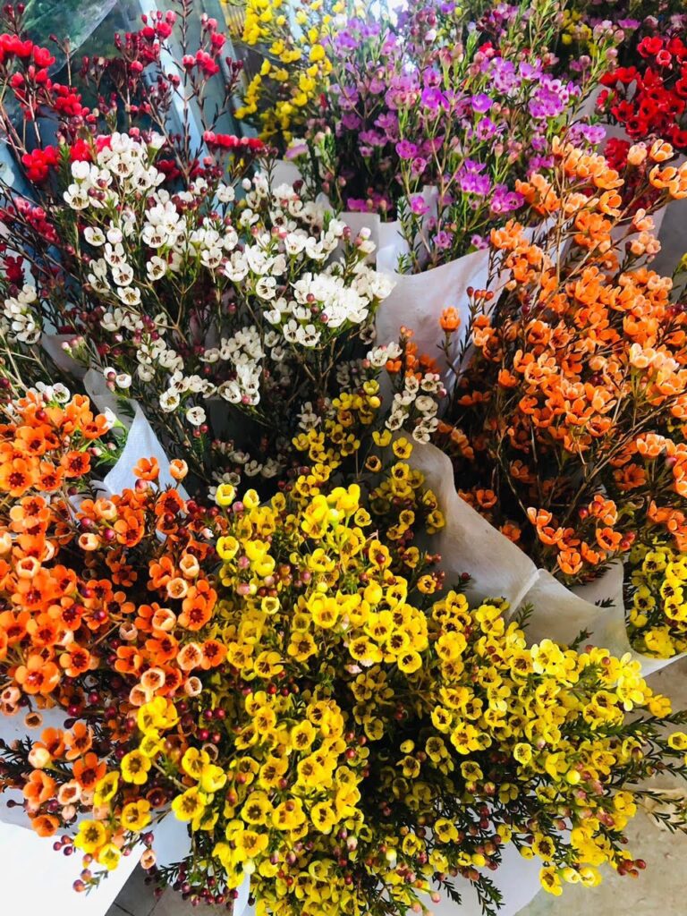 Top 10 loài hoa chưng nhà ngày Tết ở Việt Nam bo hoa thanh lieu