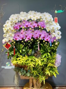 DÂNG NHÀNH LAN QUÝ TRỌN Ý TRI ÂN