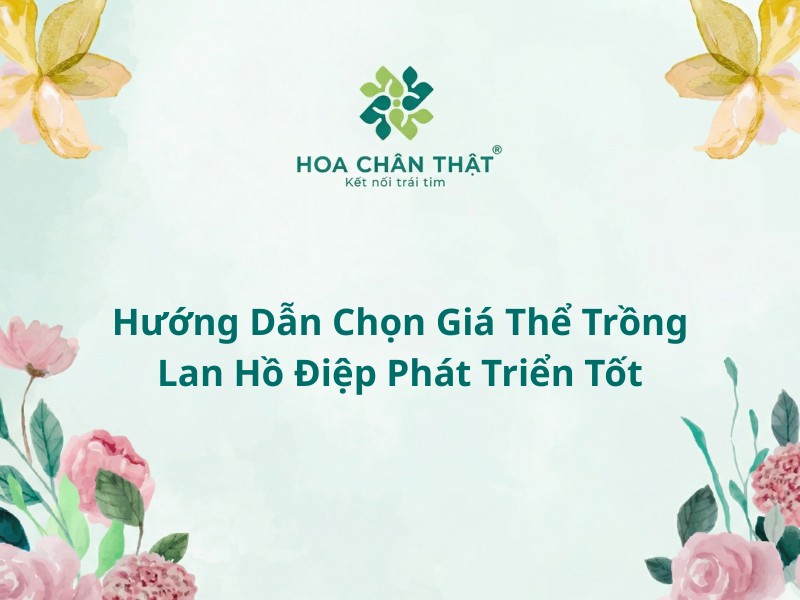 Gia the trong lan ho diep
