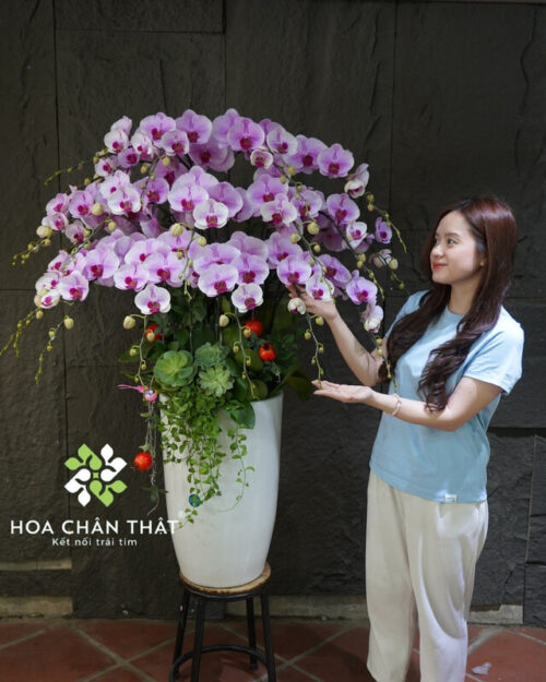 Chậu lan hồ điệp 20 cành hồng – Phồn Hoa Thịnh Vượng