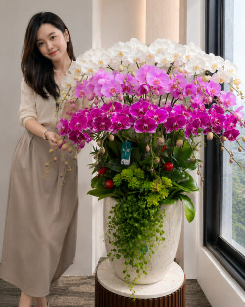 Chậu lan hồ điệp 20 cành mix trắng hồng tím – Phú quý viên mãn