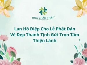 Lan hồ điệp cho lễ Phật Đản