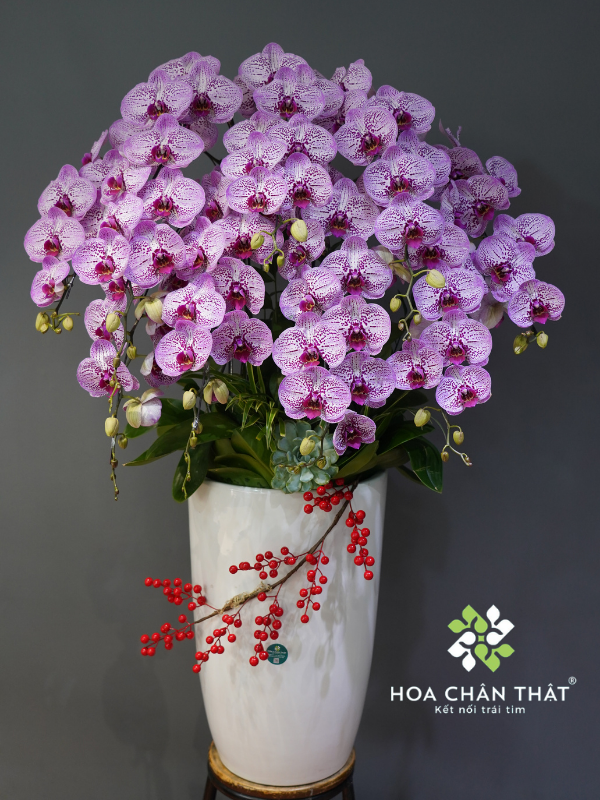 Lan hồ điệp cho lễ Phật Đản