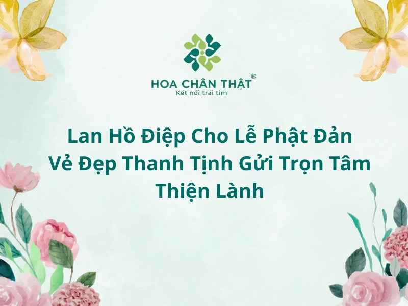 Lan hồ điệp cho lễ Phật Đản