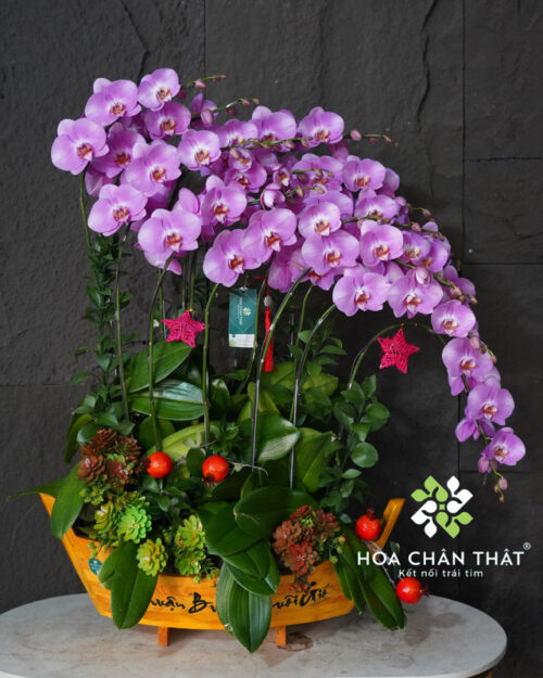 Thuyền lan hồ điệp 15 cành hồng – Hồng vận viên mãn