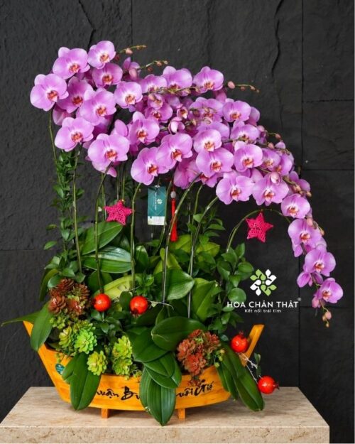 Thuyền lan hồ điệp 15 cành hồng – Hồng vận viên mãn