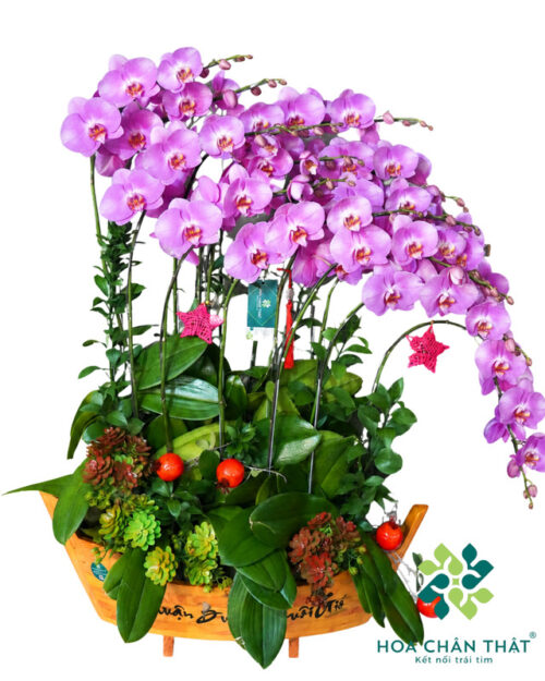 Thuyền lan hồ điệp 15 cành hồng – Hồng vận viên mãn