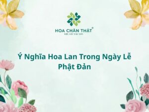 Ý Nghĩa Hoa Lan Trong Ngày Lễ Phật Đản Ý Nghĩa Hoa Lan Trong Ngày Lễ Phật Đản