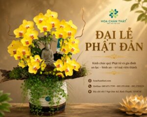 Lan hồ điệp kính mừng đại lễ Phật Đản – Gửi trao bình an & phúc lành Hoa lễ phật đản