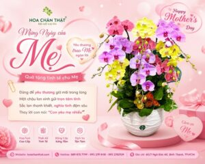 Ngày của mẹ - Hoa Chân Thật