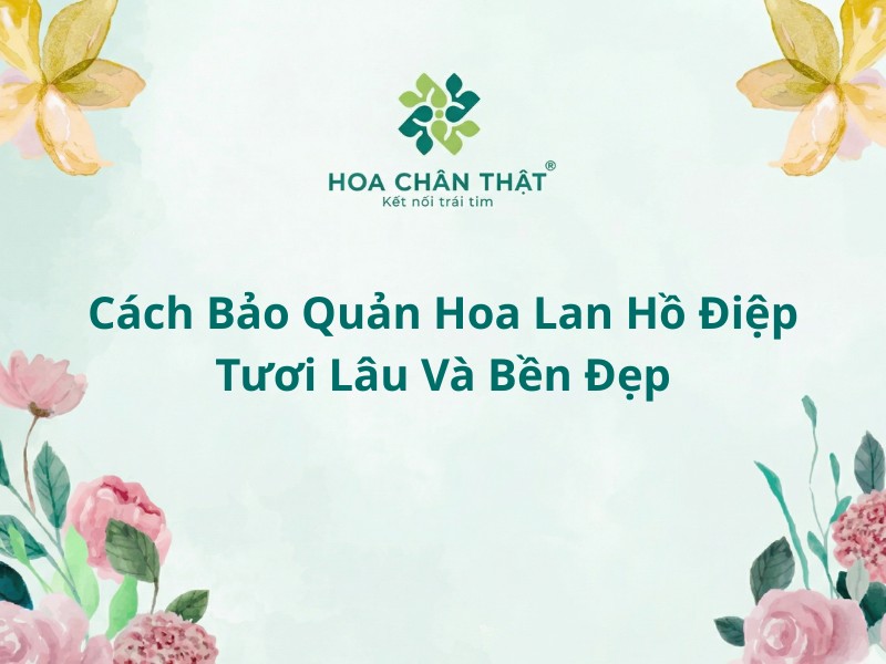 Cach bao quan hoa lan ho diep