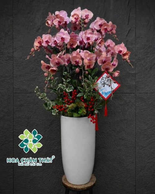 Chậu Lan Hồ Điệp 10 Cành Đỏ – Hưng Thịnh Phát Tài