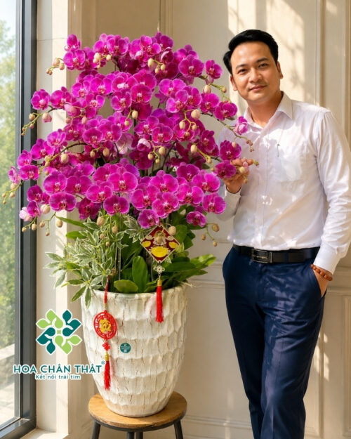 Chậu Lan Hồ Điệp 20 Cành Tím – Tài Phú Viên Mãn