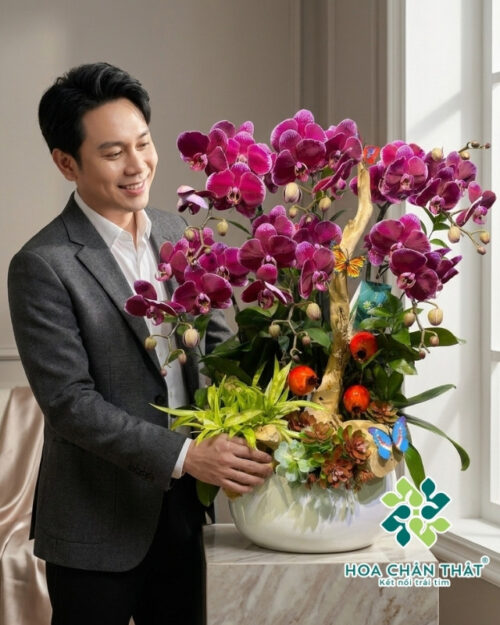 Chậu Lan Hồ Điệp 6 Cành Màu Đỏ – Vạn Lộc Trường Xuân