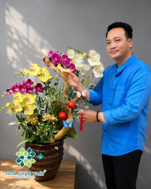 Chậu Lan Hồ Điệp 6 Cành Mix 1 Gốc Mini Phối Màu – Phú Quý Thiên Thành