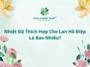 Nhiệt độ thích hợp cho lan hồ điệp