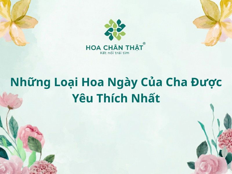 Những loại hoa ngày của cha được yêu thích nhất