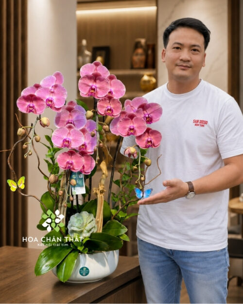 Chậu lan hồ điệp 4 cành màu đỏ ghép lũa – Vạn Phúc Hưng Thịnh Chậu lan hồ điệp 4 cành màu đỏ ghép lũa – Vạn Phúc Hưng Thịnh