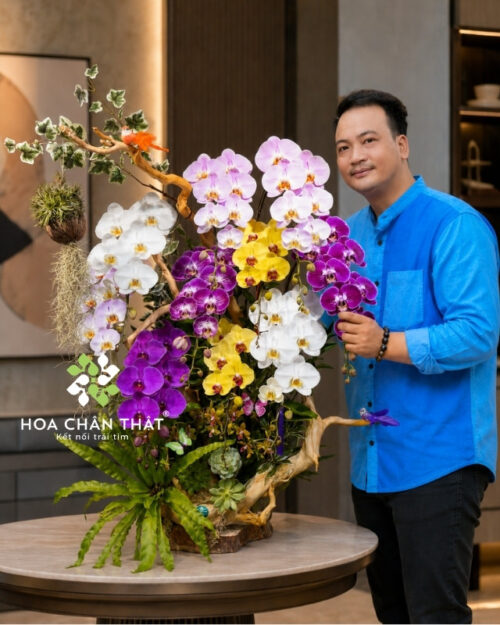 Lan hồ điệp ghép lũa nghệ thuật 10 cành phối màu – Đại Phúc An Khang