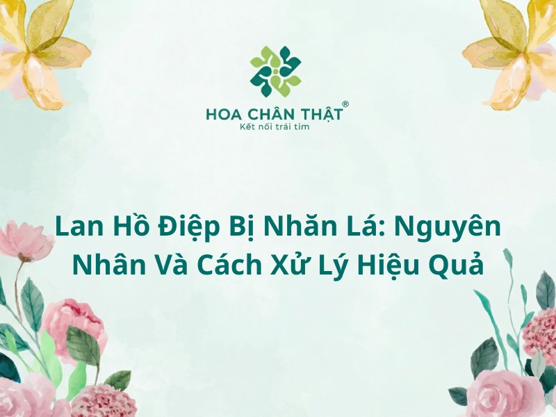 lan ho diep bi nhan la