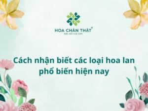 Cách nhận biết các loại hoa lan