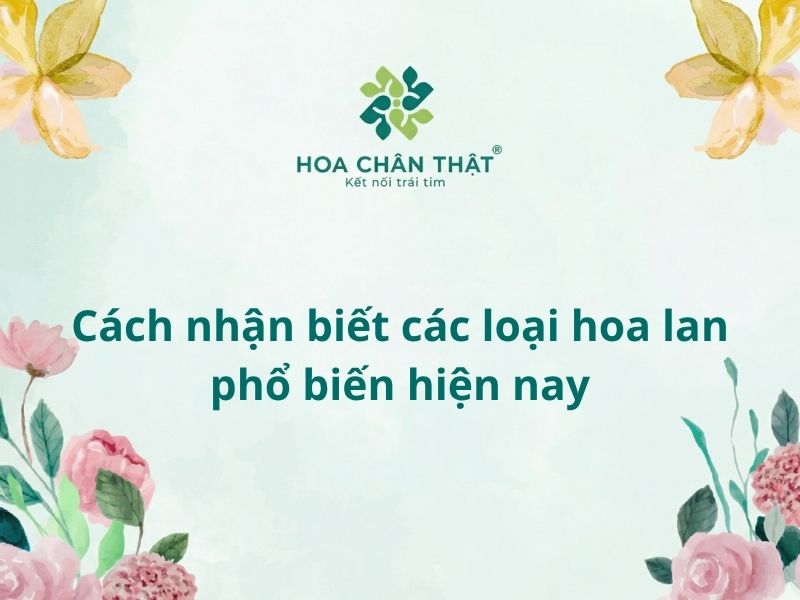 Cách nhận biết các loại hoa lan
