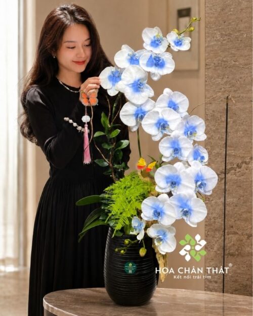 Chậu lan hồ điệp 3 cành trắng xanh ghép lũa – Duyên Tình Trọn Vẹn