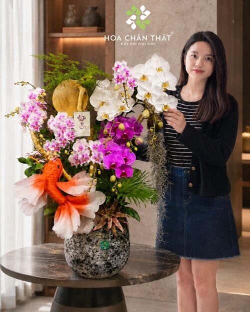 Chậu lan hồ điệp 8 cành phối màu - Lý Ngư Vọng Nguyệt Chậu lan hồ điệp 8 cành phối màu - Lý Ngư Vọng Nguyệt