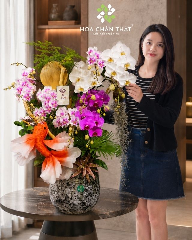 Chậu lan hồ điệp 8 cành phối màu - Lý Ngư Vọng Nguyệt Chậu lan hồ điệp 8 cành phối màu - Lý Ngư Vọng Nguyệt