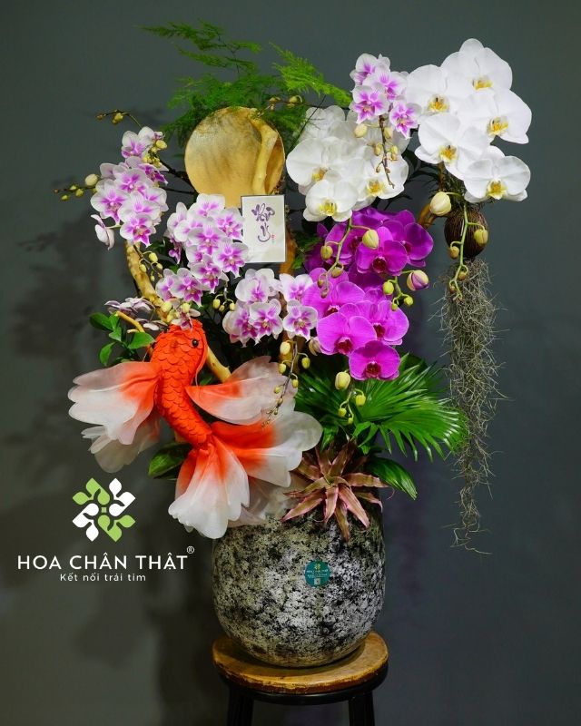 Chậu lan hồ điệp 8 cành phối màu - Lý Ngư Vọng Nguyệt Chậu lan hồ điệp 8 cành phối màu - Lý Ngư Vọng Nguyệt