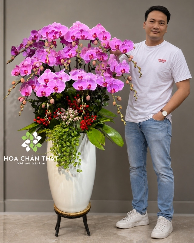Chậu lan hồ điệp màu hồng 15 cành – Đại Phúc Trường Hưng Chậu lan hồ điệp màu hồng 15 cành – Đại Phúc Trường Hưng