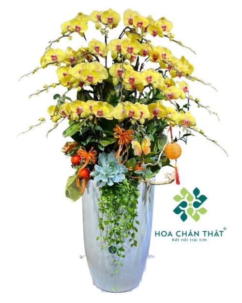 Chậu lan hồ điệp màu vàng 20 cành – Lộc Phát Trường An
