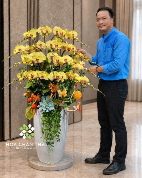 Chậu lan hồ điệp màu vàng 20 cành – Lộc Phát Trường An
