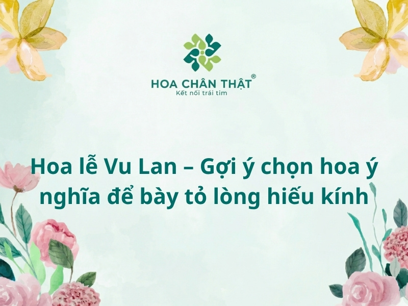 Hoa le vu lan