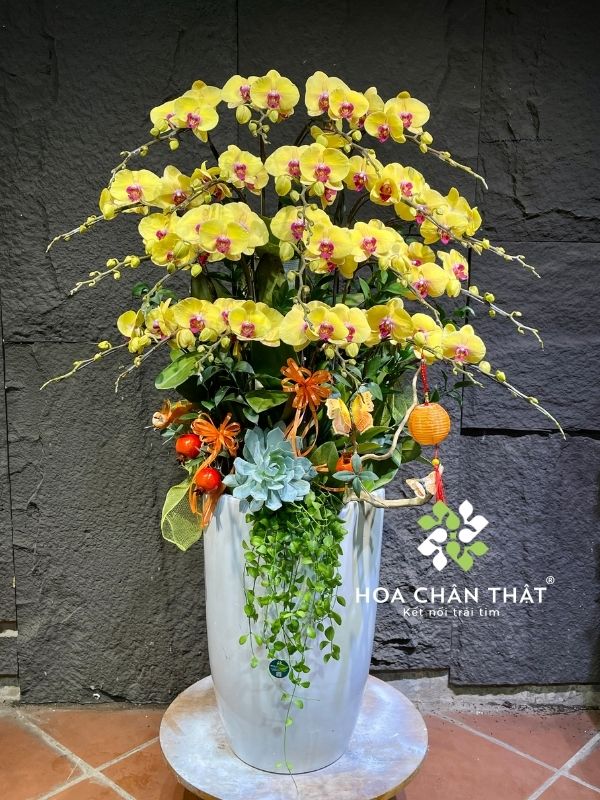 Hoa ngày truyền thống Công an Nhân dân 19/8 trang trọng, ý nghĩa Chậu hoa lan hồ điệp vàng tặng ngày truyền thống công an nhân dân ý nghĩa