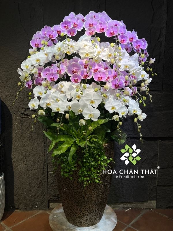 Hoa ngày truyền thống Công an Nhân dân 19/8 trang trọng, ý nghĩa Hoa ngày truyền thống Công an Nhân dân 19-8