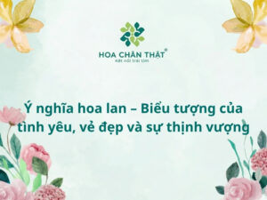 Ý nghĩa hoa lan