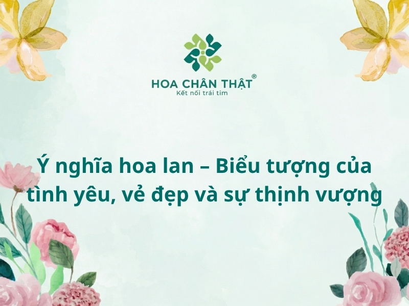 Ý nghĩa hoa lan