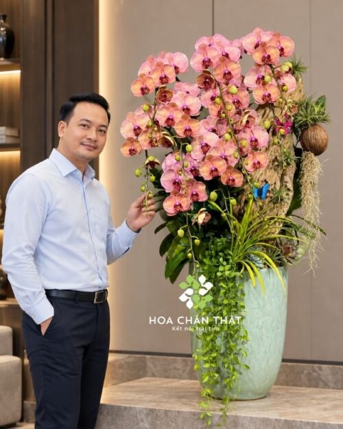 Chậu lan hồ điệp 10 cành cam ghép lũa – Vượng Khí Đăng Môn