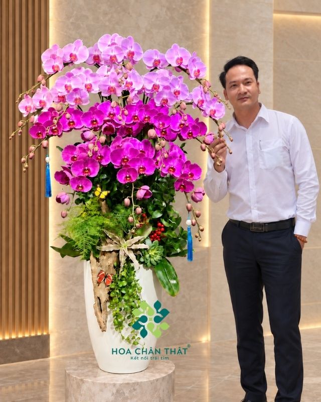 Chậu lan hồ điệp 15 cành hồng tím – Thanh Sắc Kiêu Sa Chậu lan hồ điệp 15 cành hồng tím – Thanh Sắc Kiêu Sa