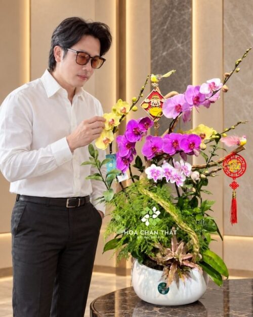 Chậu lan hồ điệp 6 cành phối màu ghép lũa – Tài Lộc Trường Hưng