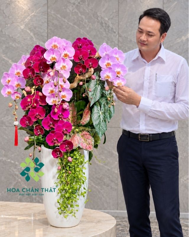 Chậu lan hồ điệp 8 cành hồng tím – Phúc Lộc Sum Vầy Chậu lan hồ điệp 8 cành hồng tím – Phúc Lộc Sum Vầy