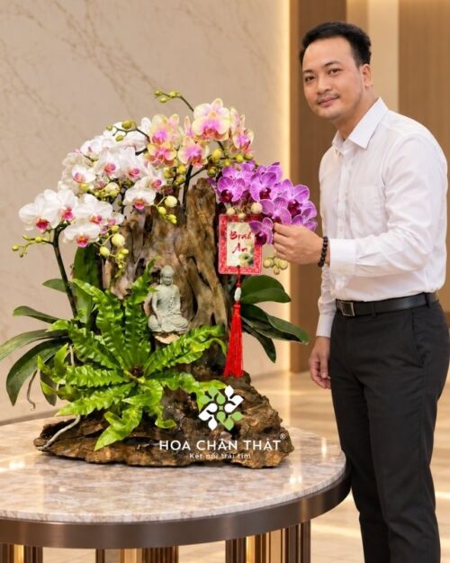 Lan hồ điệp mini ghép lũa nghệ thuật - Vạn Sự Bình An Lan hồ điệp mini ghép lũa nghệ thuật - Vạn Sự Bình An