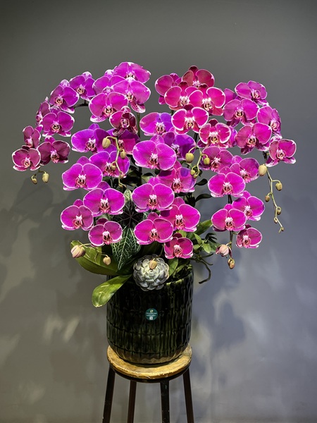 Ý nghĩa các loại hoa tặng ngày 20 10