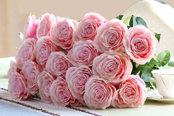 Hoa Hồng bày tỏ tình cảm yêu thương